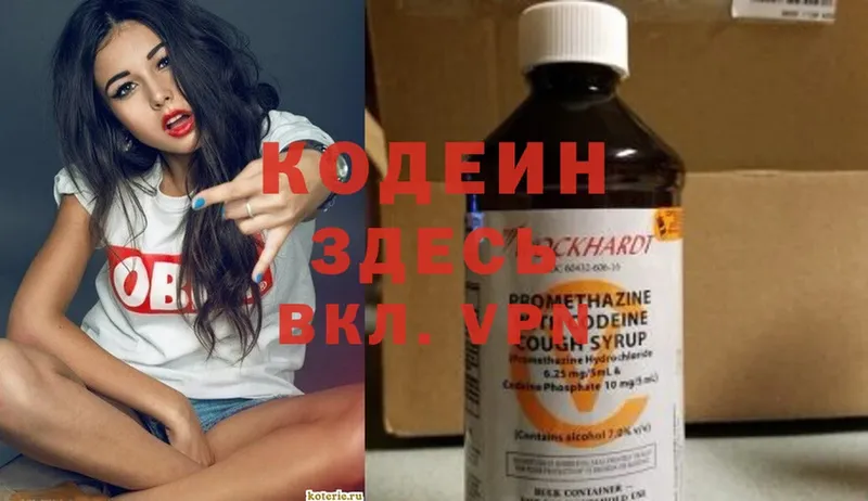 Кодеин напиток Lean (лин)  где продают   Камень-на-Оби 